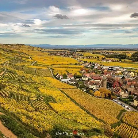 Σπίτι διακοπών Charmante Maison Avec Jardin Proche Colmar